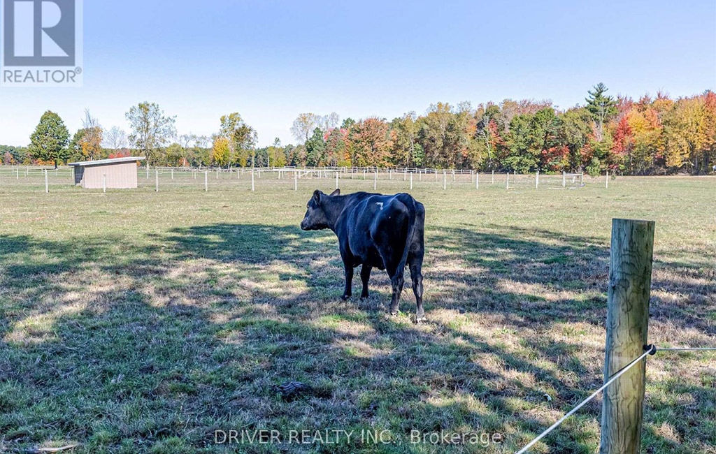 jenny mcmullin - driver realty brokerage sales representative