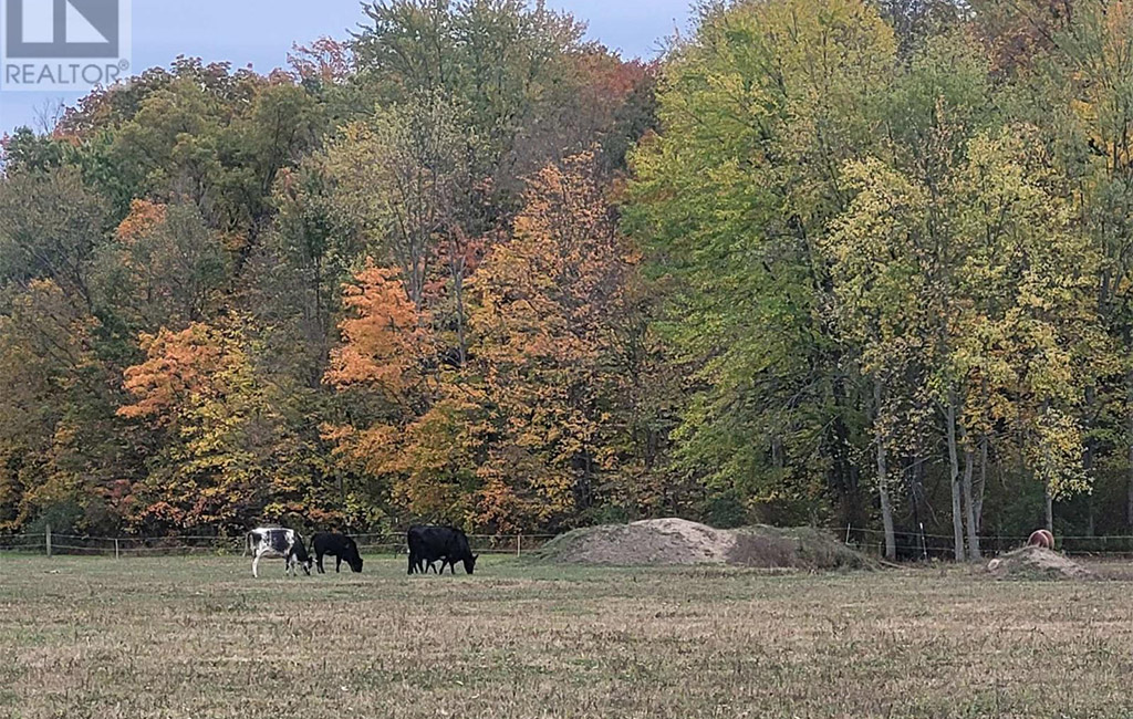 jenny mcmullin - driver realty brokerage sales representative